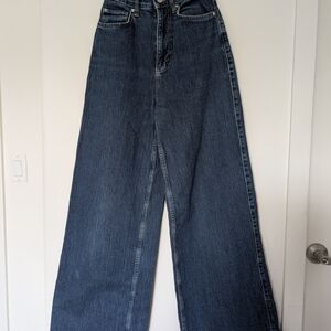 BDG Blue Wide Leg Flare Jeans